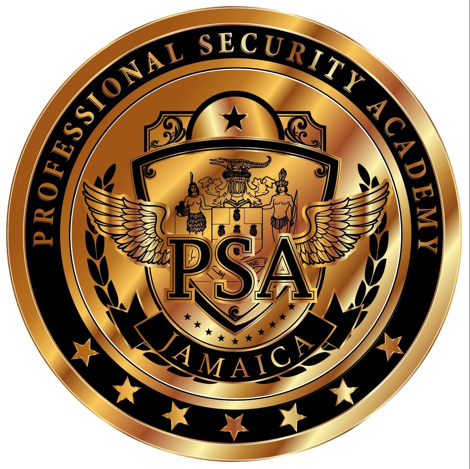 PSA Academy