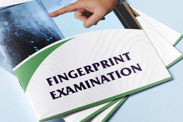 Fingerprint: Identification and Analysis